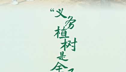 学习新语|“义务植树是全民行动”