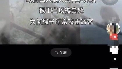 四川峨眉山“人猴大战，游客坠崖，猴王被射杀”？景区辟谣：多年前就在网络传播，没发生过这种事