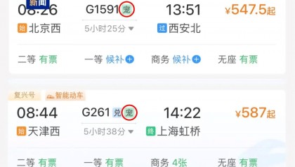 12306购票页面出现“宠”字，咋回事？