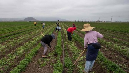 “70%的工人都走了，美国人又不愿意干，我们快破产了”