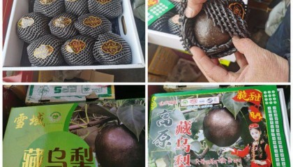 起底“藏乌梨”骗局:虚构的高原特产,普通梨高温加工而成