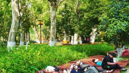 武汉一景区躺椅走红,网友:躺到不想走了,希望能推广