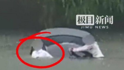 男子乘网约车面试被女司机送进湖里 上岸大喊“我要面试”