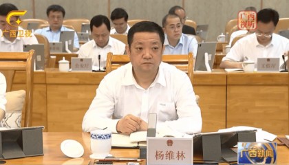 广西壮族自治区副主席、公安厅厅长杨维林任公安部副部长