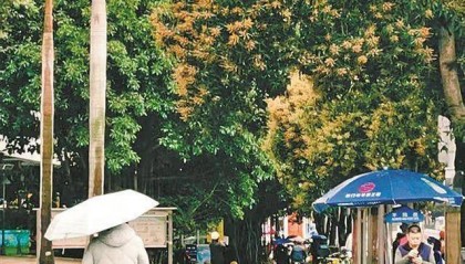 厦门这波降温咋这么猛?好消息:明起逐渐回暖……