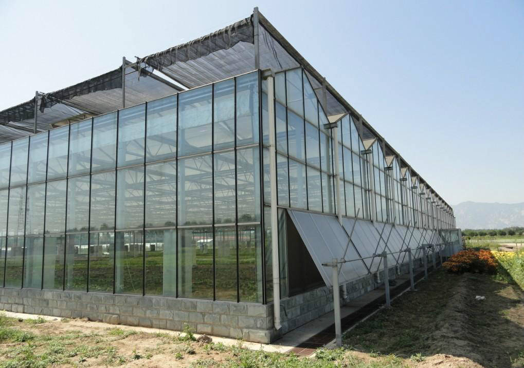 浅谈一下温室的发展历程