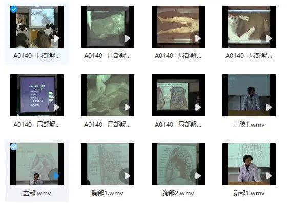 人体《局部解剖学》视频全集，名师讲解，抓紧收藏