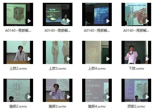 人体《局部解剖学》视频全集，名师讲解，抓紧收藏