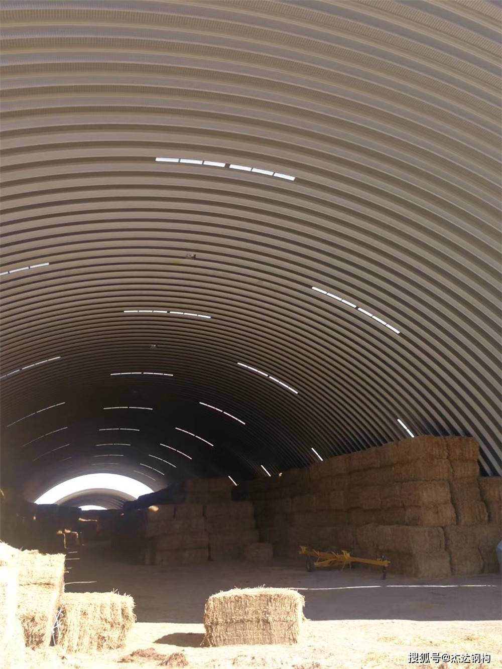 技术应用：拱形屋面技术在仓间罩棚结构中的应用前景