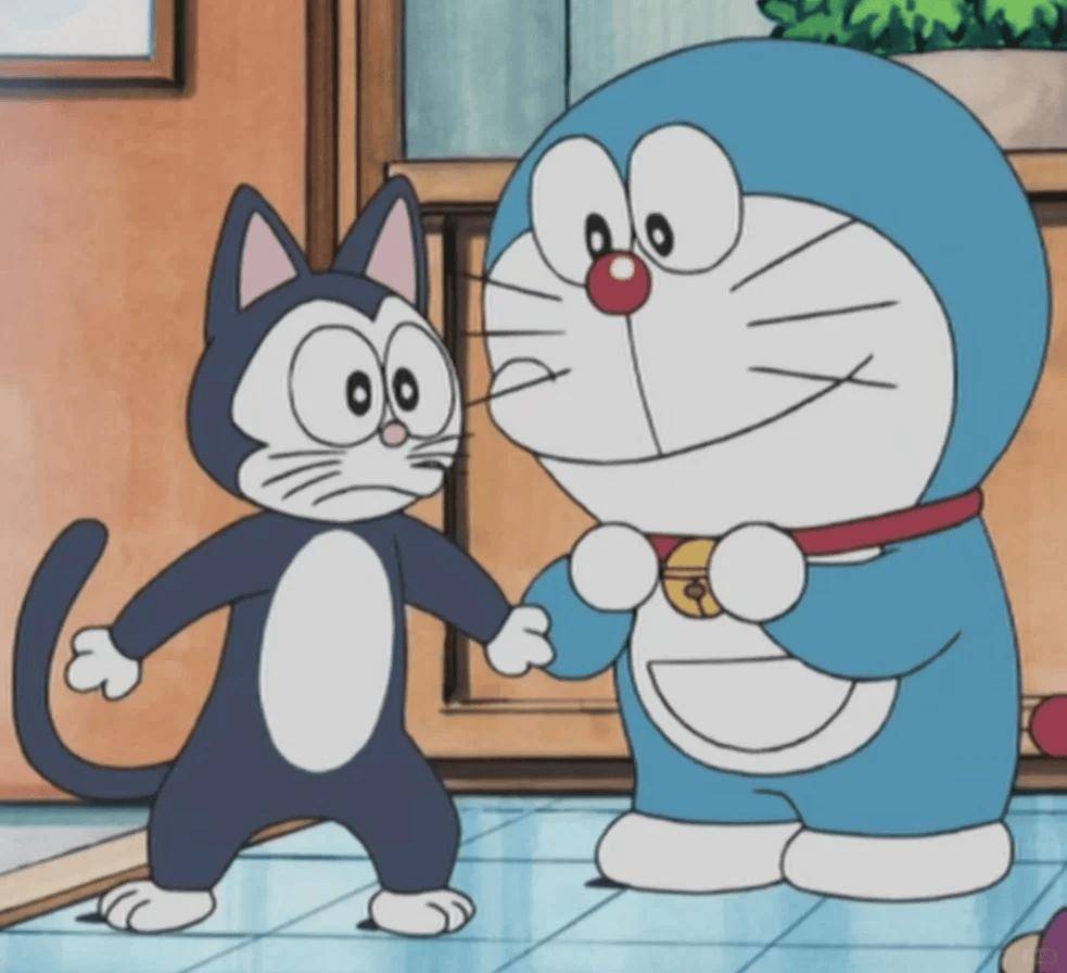 在哪舒服就在哪学！