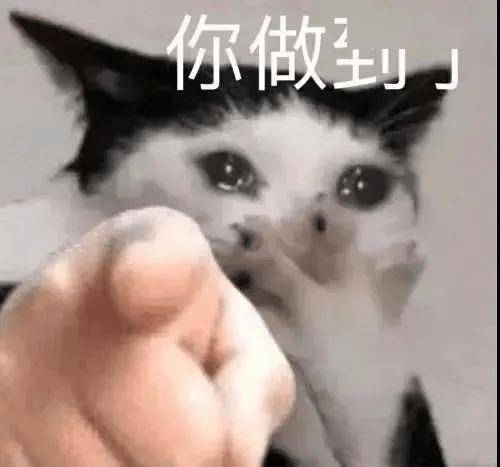 在哪舒服就在哪学！