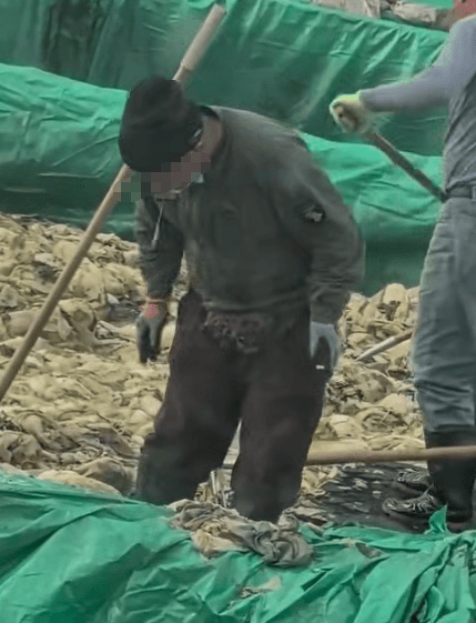 辽宁葫芦岛一男子酸菜池中抽烟吐痰,曝光视频令人反胃!省市两级市监介入