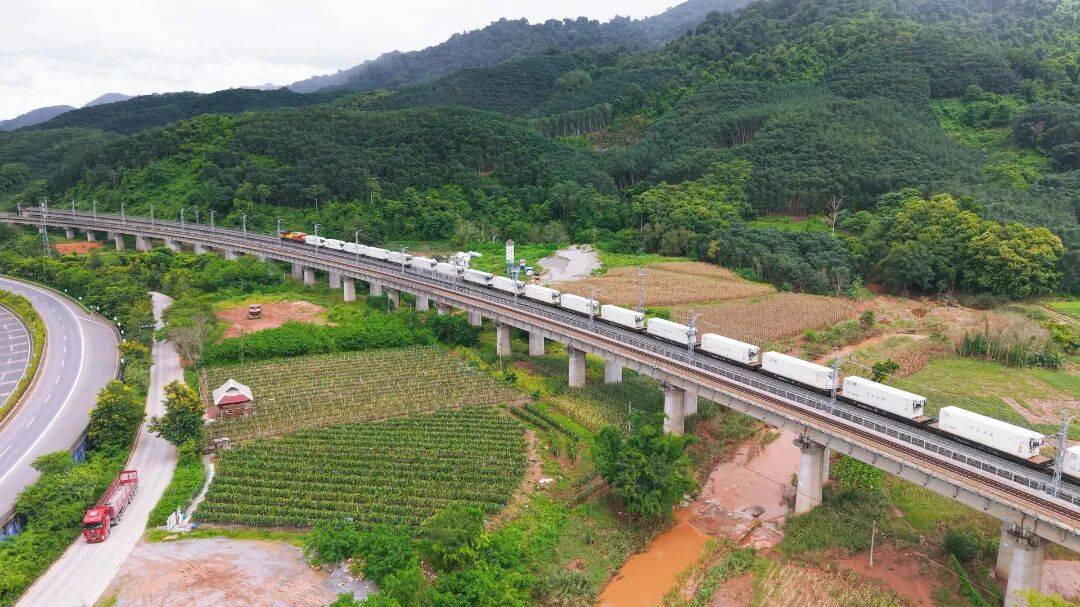 中老铁路前三季度进出口量值双增 黄金通道活力尽显