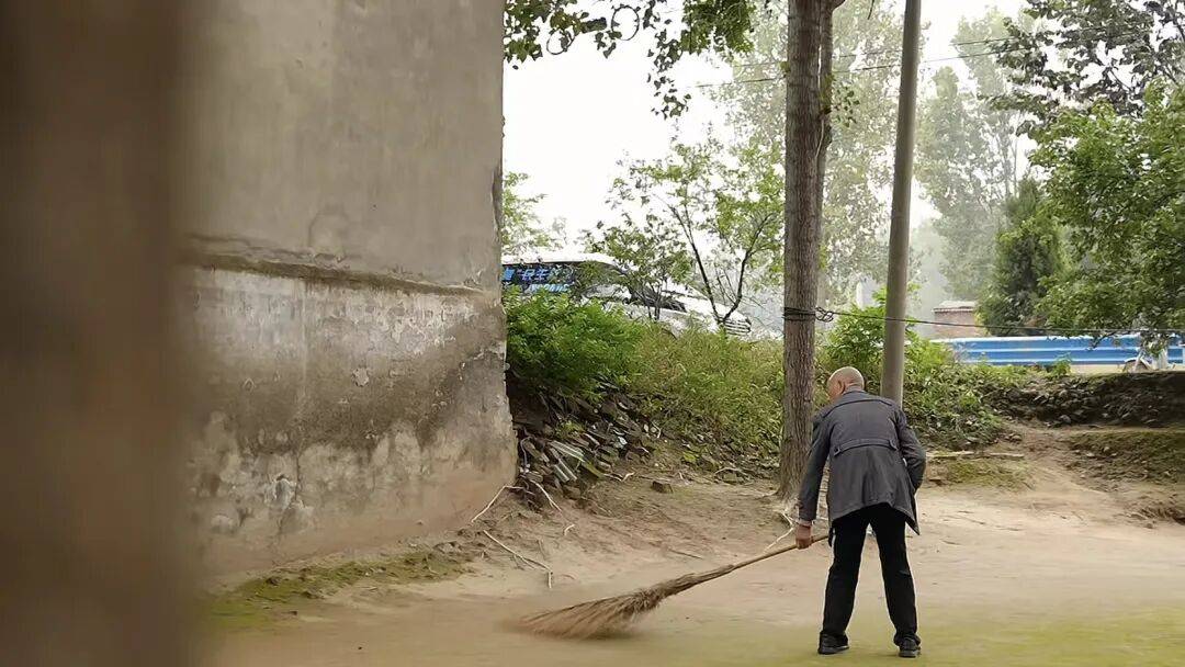河南66岁大爷500平院子凭 “极致干净” 成网红打卡点,网友来时他满脸笑容带进参观